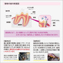 Oxyfreshペットデンタルウォーターアディティブ473ml メーカー直送 ▼返品・キャンセル不可【他商品との同時購入不可】