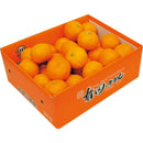 ◆【お歳暮限定】和歌山県 武内園の有田みかん3kg◇メーカー直送 ▼返品・キャンセル不可【他商品との同時購入不可】