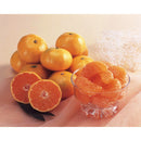 ◆【お歳暮限定】和歌山県 武内園の有田みかん3kg◇メーカー直送 ▼返品・キャンセル不可【他商品との同時購入不可】