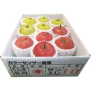 ◆【お歳暮限定】青森県産 サンふじ・ぐんま名月(2.5kg)◇メーカー直送 ▼返品・キャンセル不可【他商品との同時購入不可】