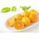 ◆【お歳暮限定】和歌山県産とん吉のみかん(5kg)◇メーカー直送 ▼返品・キャンセル不可【他商品との同時購入不可】