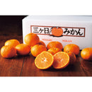 ◆【お歳暮限定】静岡県産 三ヶ日みかん(4kg)◇メーカー直送 ▼返品・キャンセル不可【他商品との同時購入不可】