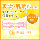 DHC Q10クリームII (SS) 20g