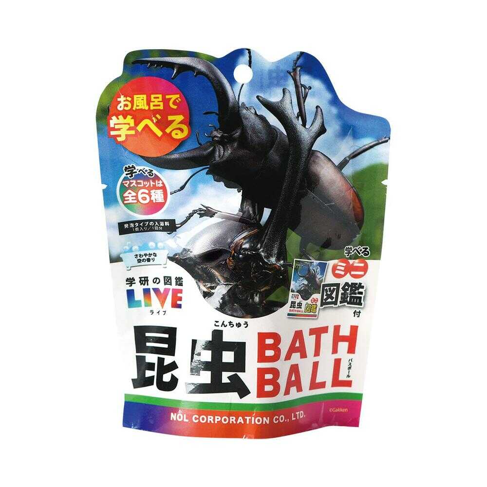 カメルーンゴライアスオオツノハナムグリ約93mm M8