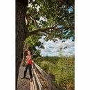 DCMPS567P1JP DEWALT 18Vポールチェーンソー メーカー直送 ▼返品・キャンセル不可【他商品との同時購入不可】