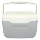 保冷剤付きクーラーボックス GR-CB48 メーカー直送▼返品・キャンセル不可【他商品との同時購入不可】