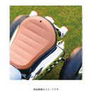 こども用電動乗用3輪バイク RA-3WRO メーカー直送▼返品・キャンセル不可【他商品との同時購入不可】