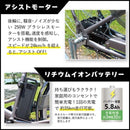 ACTIVEPLUS ノーパンク電動アシストFDB26EB メーカー直送 ▼返品・キャンセル不可【他商品との同時購入不可】