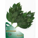 榊 プレミアムプリザーブドS FS-003SV メーカー直送 ▼返品・キャンセル不可【他商品との同時購入不可】