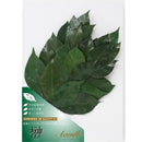 榊 プレミアムプリザーブド 榊 M FS-004M メーカー直送 ▼返品・キャンセル不可【他商品との同時購入不可】