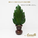 榊 プレミアムプリザーブド 荒神松 M  FK-007M メーカー直送 ▼返品・キャンセル不可【他商品との同時購入不可】