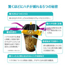 ハチがホイホイ