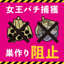 ハチがホイホイ
