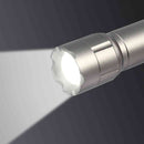 ELPA LED ハンドライト 450ルーメン DOP-EP440 1個