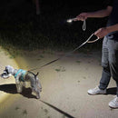 エルパ ELPA 散歩アルミライト 夜間のペットのお散歩に 350lm DOP-EP230