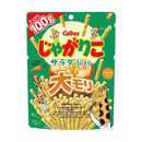◆カルビー じゃがりこサラダbits大モリ 100g