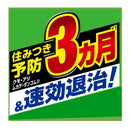 フマキラー カダン お庭の虫キラー ハンドスプレー 1000ml