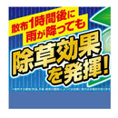 【農薬】フマキラー カダン 除草王 ザッソージエース 1L
