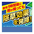 【農薬】フマキラー カダン 除草王 ザッソージエース 2L