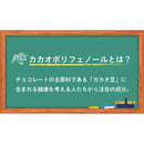◆明治 チョコレート効果 カカオ72% 大袋 225g