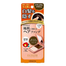 柳屋 ジョスラン ヘアカバーファンデーション <ナチュラルブラウン> 13g