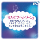 ソフィボディフィットスーパーナイトガード羽なし20枚