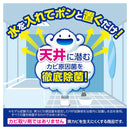 ライオン ルック おふろの防カビくん煙剤 せっけん 5g