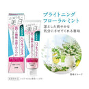 Systema Hug Ki Plus P Toothpaste Delicate Whitening BM 95g