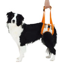 老犬介護用 歩行補助ハーネス 後足用K 2L メーカー直送▼返品・キャンセル不可【他商品との同時購入不可】