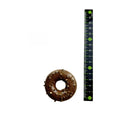 またたびドーナッツ虫えい果 1個