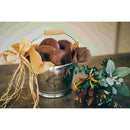 尾上製作所 イラスト入バケツ8号 オレンジ