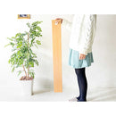 宮武製作所 吊り下げスリムミラー Meria(メリア) メーカー直送 ▼返品・キャンセル不可【他商品との同時購入不可】