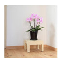 小原産業 プラスチック万能台 正方形 ベージュ