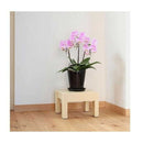 小原産業 プラスチック万能台 正方形 ベージュ