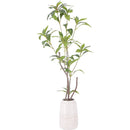 フェイクグリーン ギンモクセイ セラミックポット 41133 メーカー直送 ▼返品・キャンセル不可【他商品との同時購入不可】