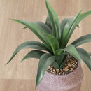 フェイクグリーン アガベ セメントポット 41135 メーカー直送 ▼返品・キャンセル不可【他商品との同時購入不可】