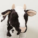 座れるアニマル ウシ(ワールドマップ) 47302 メーカー直送 ▼返品・キャンセル不可【他商品との同時購入不可】