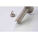 アピックス ハピカル マルチスクラバープラス 1台