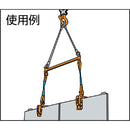 スーパー 2点吊用天秤 容量:500kg スパン長:800mm メーカー直送 ▼返品・キャンセル不可【他商品との同時購入不可】