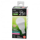 オーム電機 LED電球小形 25形相当 昼白色 1個