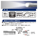 オーム電機 LEDライト ピュアビーム 80ルーメン