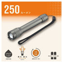 オーム電機 LEDズームライト 250ルーメン 1個