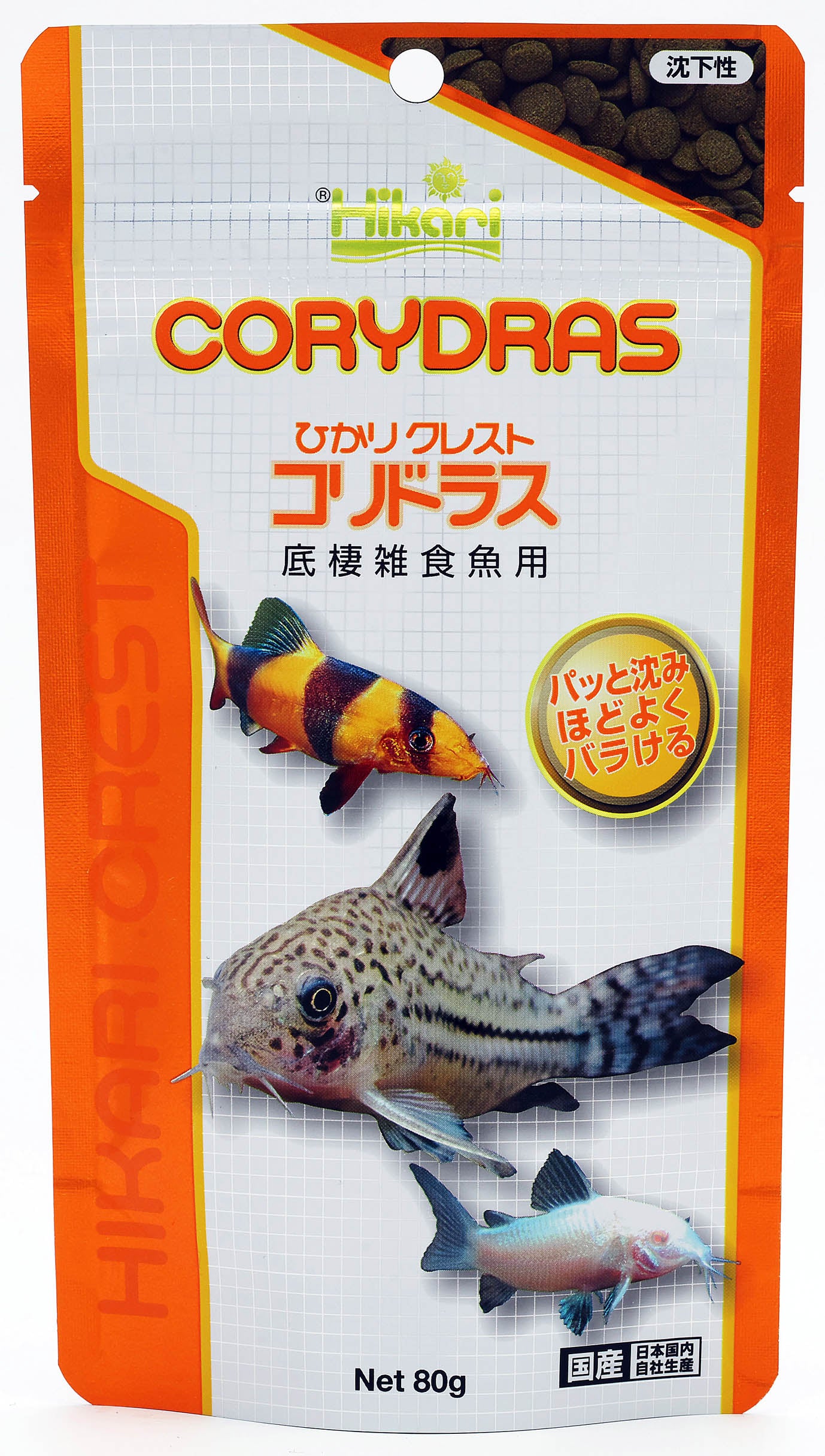 こりどらす 入荷情報!!!&思い出のコリドラス! | アクアテイラーズ尼崎