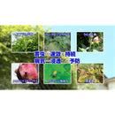 住友化学園芸 ベニカXファインスプレー 950ml