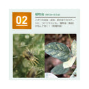 【農薬】住友化学園芸 ベニカナチュラルスプレー 1000ml