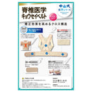 中山式 脊椎医学 キョウセイベルト メッシュ Mサイズ