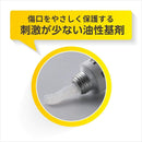 【第2類医薬品】キシロA軟膏 10g
