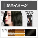 【医薬部外品】ホーユー ビューティーントーンダウンカラー ナチュラルブラック