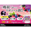 ◆井藤漢方 ひとくちFeケア 3種の鉄11mg 1.5gX15袋