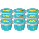 ◆【お歳暮限定】ザ・スウィーツ 日本の柑橘シャーベット(9個)◇メーカー直送 ▼返品・キャンセル不可【他商品との同時購入不可】